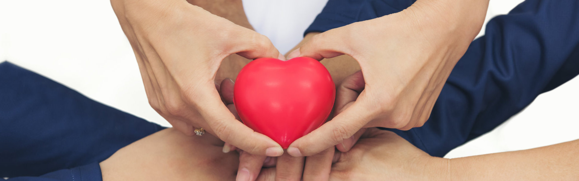 heart figure in the peoples hand